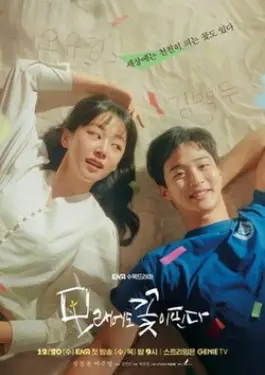 Like Flowers In Sand (2023)