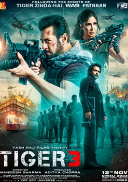 Tiger 3 (2024)